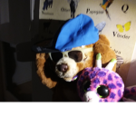 cooler Mc cool