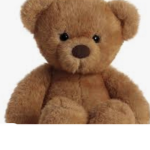 Teddy’s bear club