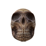 Giant Skull