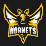 The Stinging hornets