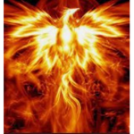 Clan Phoenix.