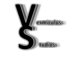 Vermiculus Studios