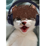 Cat squad Gamers (Official Group)