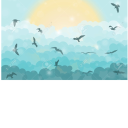 Sky Run
