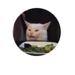 Meme cat