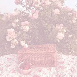 {missy vibe}