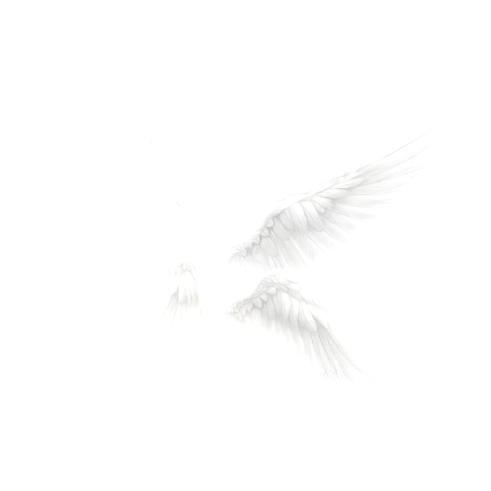 White Angel Wings [Emissive]