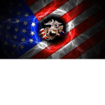 USMC United States Marine Corps the proud the few