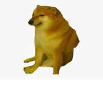 Bacon boiss