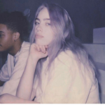 Fairy.billieeilish