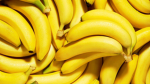 The Secret Civilization Of Bananas