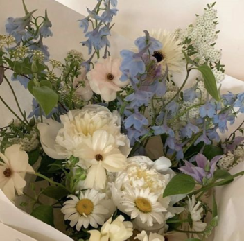 𝒶𝑒𝓈𝓉𝒽𝑒𝓉𝒾𝒸 𝓌𝑜𝓇𝓁𝒹 𝑒𝓍𝓅𝑒𝓇𝒾𝑒𝓃𝒸𝑒