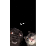 Vêtements pas cher :p