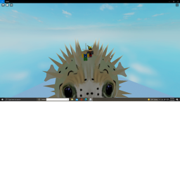 Pufferfish hangout