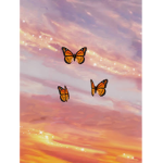 Butterflies roll