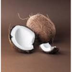 Coconut Studiosss