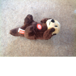 Otter crazy