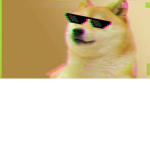 DOGE CLUB FOR PROS