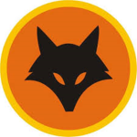 Team #Fire Fox