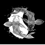 Koi’s clothing