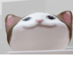 POP______CAT