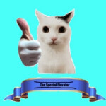 The Special Elevator