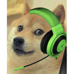 Epic Doge Gamers