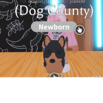 Dog County