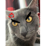 mırmır gaming