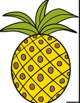 The super duper duper supa secret pineapple agency