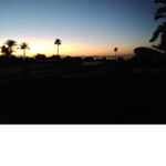 Sunset Misfits