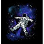 The National Aeronautics&Space Administration