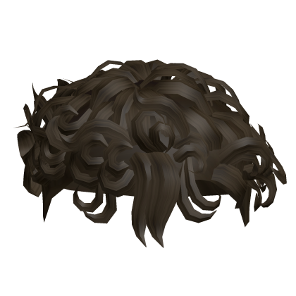 curly brown hair Roblox item