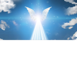 XxAngel Fan GroupxX
