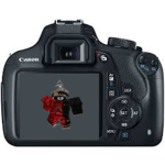 Bloxburg Photographers