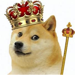 Doge Tycoon