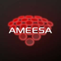 AMEESA Hub