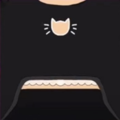 Cute decal t-shirt! Roblox decal