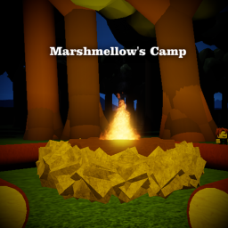 Camp
