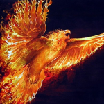 Ignited Phoenix Studio