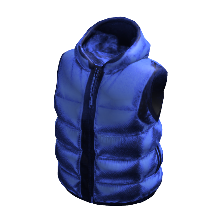 Blue Puffer Vest