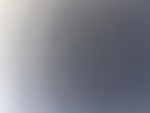 핫꼬의 그룹