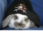 Masky"s Bunny Crew
