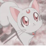 Sailorr Moonn