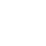 Zoobeedude
