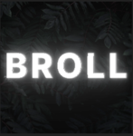 BANKROLL v2