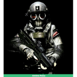 The chaos Group scp