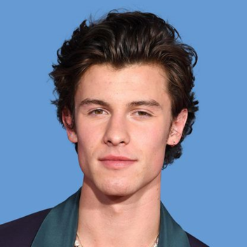 Shawn Mendes Obby