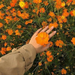 ʟɪꜰᴇ ɪꜱ