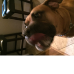 Brody’s Group Please join